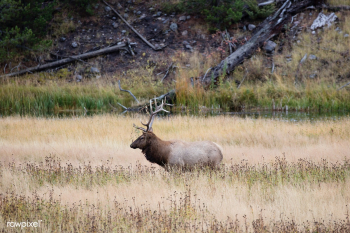 Carol M. Highsmith’s Wyoming Photograph | Free public domain photo - 582750 Carol M. Highsmith’s Wyoming Photograph | Free public domain photo - 582750
