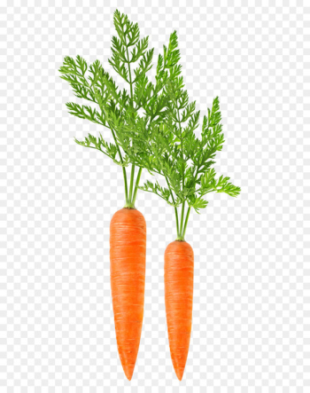 Carrot harvester Leaf vegetable Food - Carrots vegetables Carrot harvester Leaf vegetable Food - Carrots vegetables