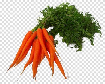 Carrot juice Carrot juice Vegetable, Carrot transparent background PNG clipart Carrot juice Carrot juice Vegetable, Carrot transparent background PNG clipart