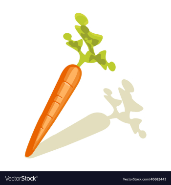 carrot vegetable carrot vegetable