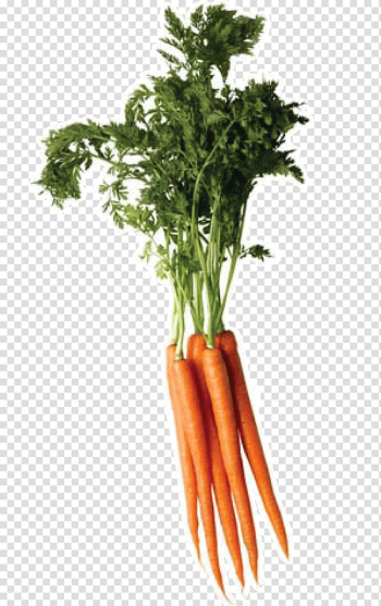 Carrot Vegetable, Carrot transparent background PNG clipart Carrot Vegetable, Carrot transparent background PNG clipart