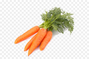 Carrot Vegetable Computer file - Carrot Png Carrot Vegetable Computer file - Carrot Png