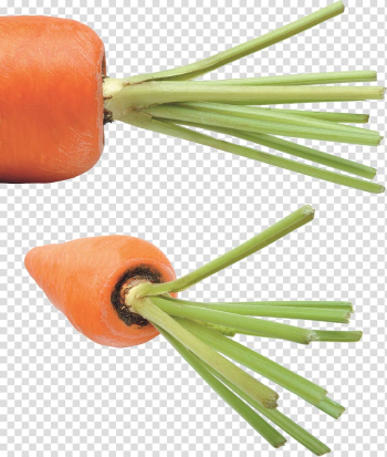 Carrot Vegetable Food , Carrot transparent background PNG clipart Carrot Vegetable Food , Carrot transparent background PNG clipart