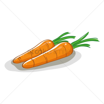 Carrots Carrots