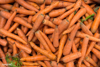 Carrots | Free stock photo - 449080