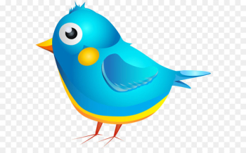Cartoon Bird Clip art - Blue Bird Cartoon Transparent PNG Image 
