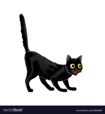 Cartoon Black Cat in shock she was vector image