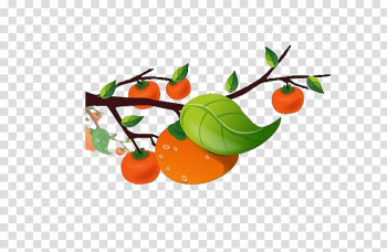 Cartoon Child Illustration, Persimmon tree transparent background PNG clipart Cartoon Child Illustration, Persimmon tree transparent background PNG clipart