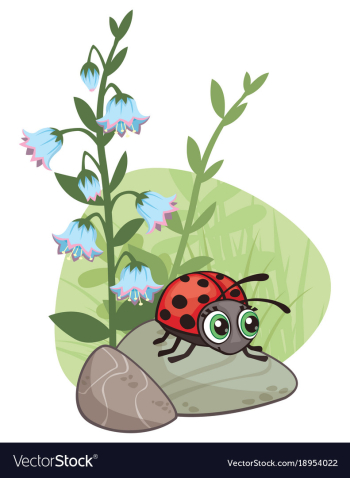 Cartoon corner design with ladybug and flowers vector image Cartoon corner design with ladybug and flowers vector image