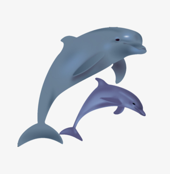 Cartoon Dolphins Jump, Cartoon Clipart, Dolphins Clipart, Cartoon ...