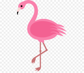 Cartoon Drawing Flamingo Clip art - flamingo 