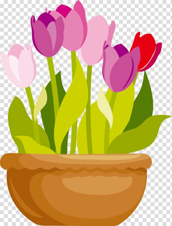 Cartoon flowers transparent background PNG clipart