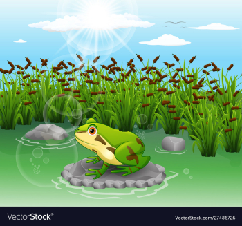 Cartoon frog cute scenery vector image Cartoon frog cute scenery vector image