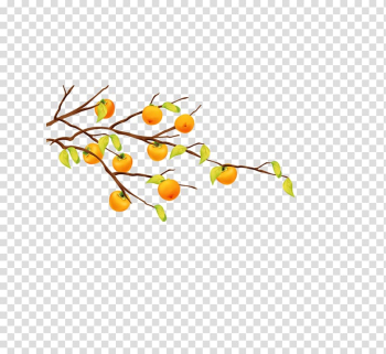 Cartoon Fruit tree Tangerine, persimmon transparent background PNG clipart Cartoon Fruit tree Tangerine, persimmon transparent background PNG clipart