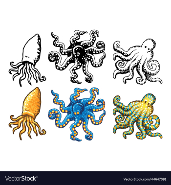 cartoon octopus set cartoon octopus set