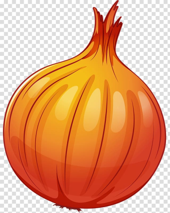 , Cartoon Onion transparent background PNG clipart , Cartoon Onion transparent background PNG clipart
