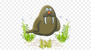 Cartoon Sea Clip art - Sea World marine life sea lion cartoon 