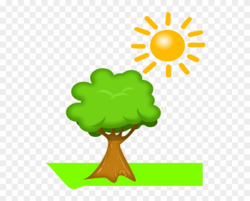 Cartoon Tree And Sun Cartoon Tree And Sun