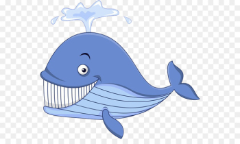 Cartoon Whale Illustration - Whale's gaze Cartoon Whale Illustration - Whale's gaze