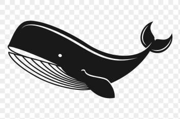 Cartoon whale png sticker, sea | Free PNG - rawpixel Cartoon whale png sticker, sea | Free PNG - rawpixel