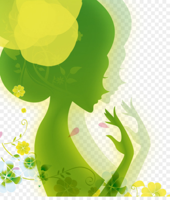 Cartoon Woman Animation Illustration - Women like Cartoon Woman Animation Illustration - Women like