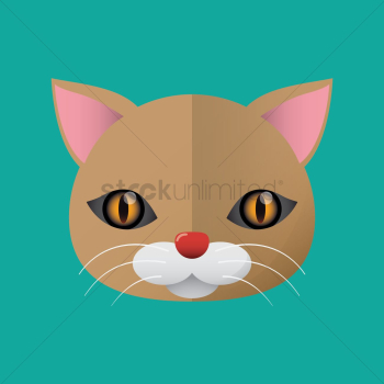 Cat Cat