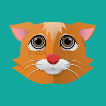 Cat Cat