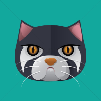 Cat Cat