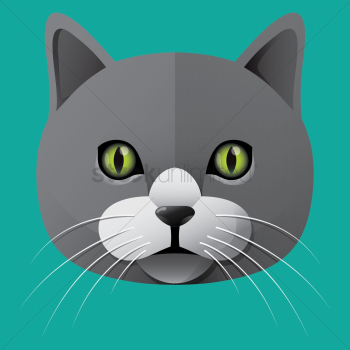 Cat Cat