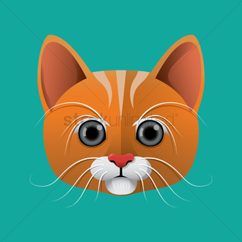 Cat Cat