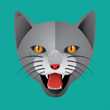 Cat Cat
