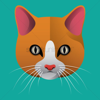 Cat Cat