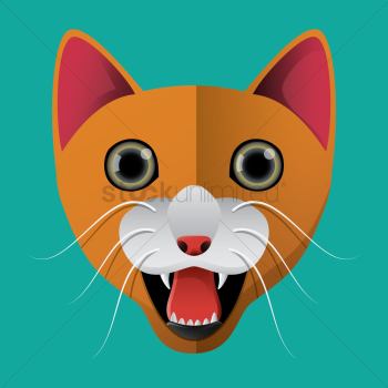 Cat Cat