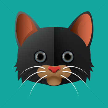 Cat Cat