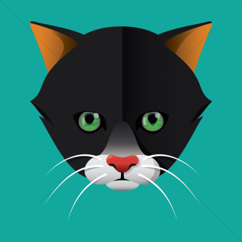 Cat Cat