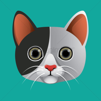 Cat Cat