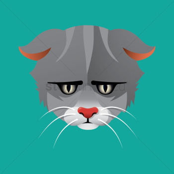 Cat Cat