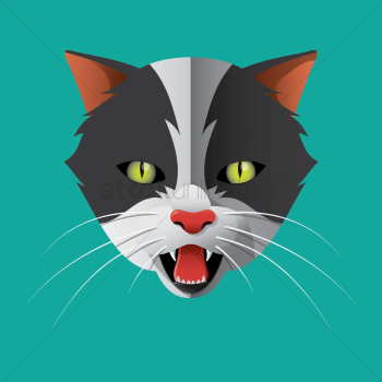 Cat Cat