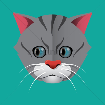 Cat Cat