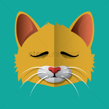 Cat Cat
