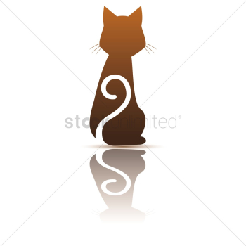 Cat Cat