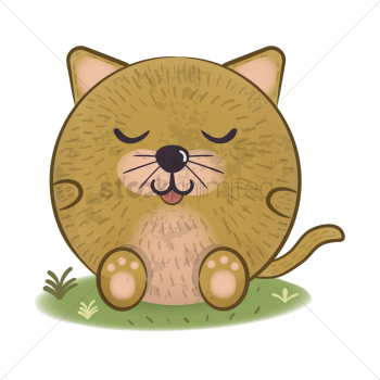 Cat Cat