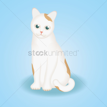 Cat Cat