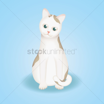 Cat Cat