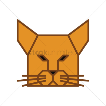 Cat Cat