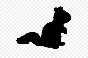 Cat Bear Dog Canidae Mammal - Cat Bear Dog Canidae Mammal -