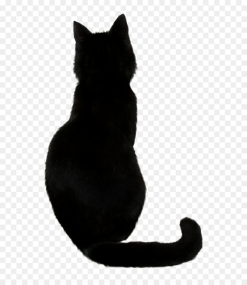Cat, Black Cat, Silhouette PNG Cat, Black Cat, Silhouette PNG