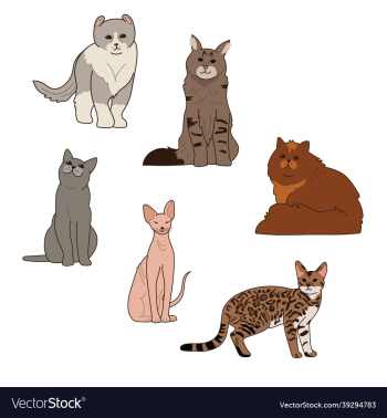 cat breeds cat breeds