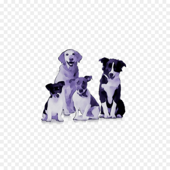 Cat Bulldog Dog Food Pet Bowl - Cat Bulldog Dog Food Pet Bowl -