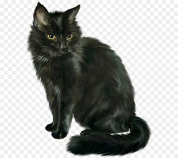 Cat Clip art - Black Cat Halloween Horror Cat Clip art - Black Cat Halloween Horror